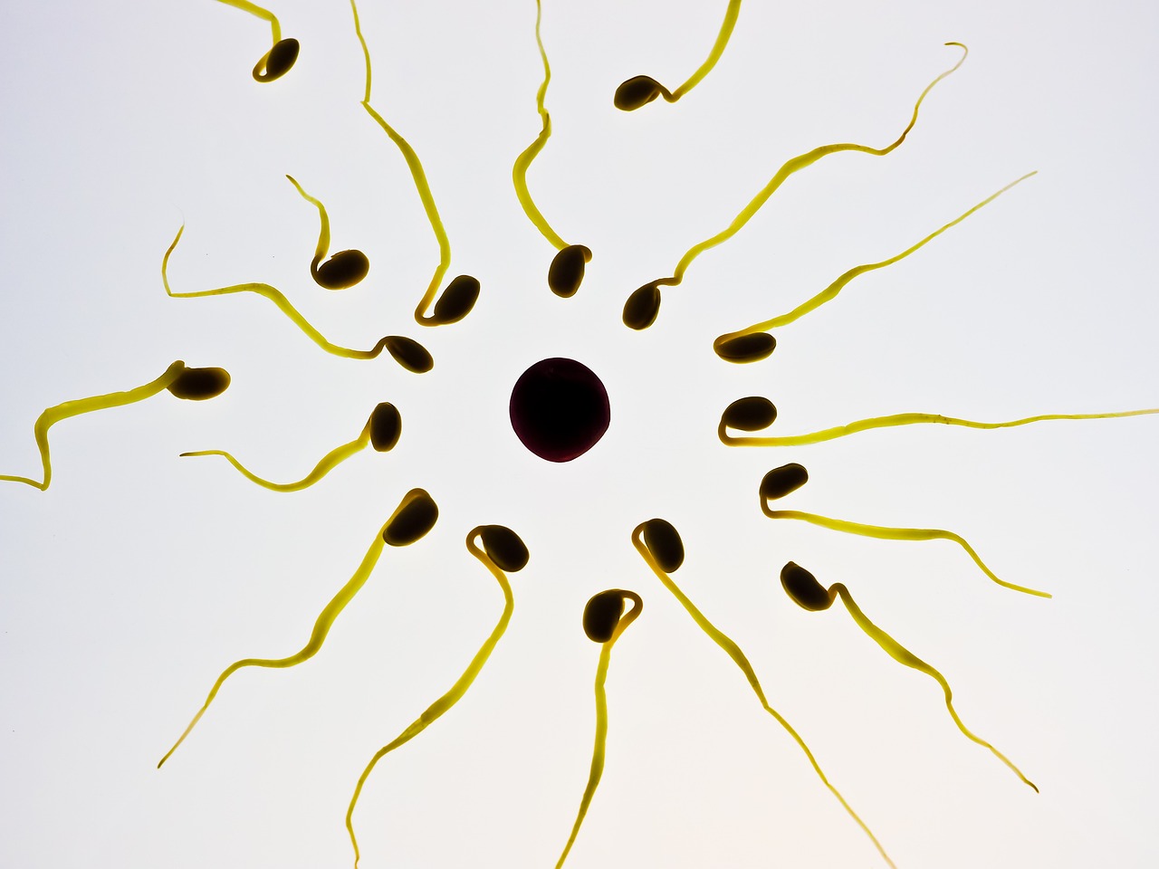 Sonhar com esperma interpretações inusitadas e simbologias
