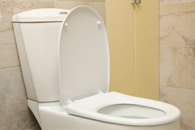 Como desentupir vaso sanitário de forma simples e eficaz
